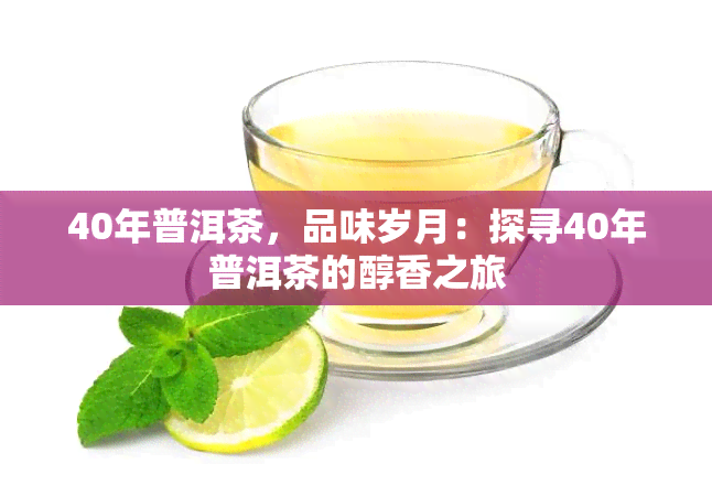 40年普洱茶，品味岁月：探寻40年普洱茶的醇香之旅