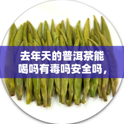 去年天的普洱茶能喝吗有吗安全吗，今年能喝吗？