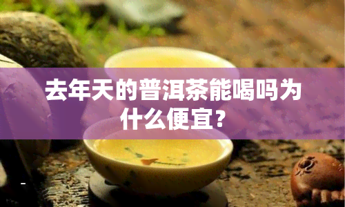 去年天的普洱茶能喝吗为什么便宜？