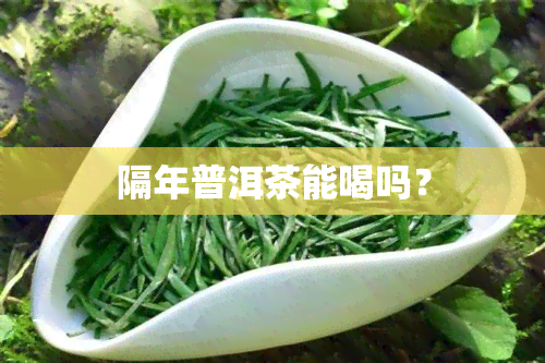 隔年普洱茶能喝吗？