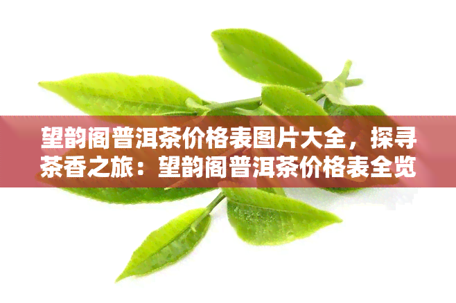 望韵阁普洱茶价格表图片大全，探寻茶香之旅：望韵阁普洱茶价格表全览