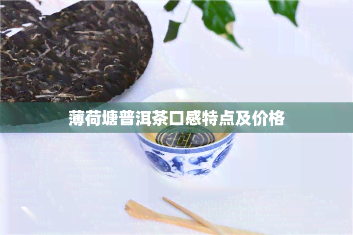 薄荷塘普洱茶口感特点及价格