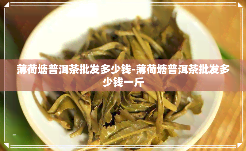 薄荷塘普洱茶批发多少钱-薄荷塘普洱茶批发多少钱一斤