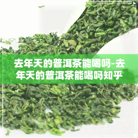 去年天的普洱茶能喝吗-去年天的普洱茶能喝吗知乎