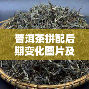 普洱茶拼配后期变化图片及价格，普洱茶拼配后期变化：图解与价格一览