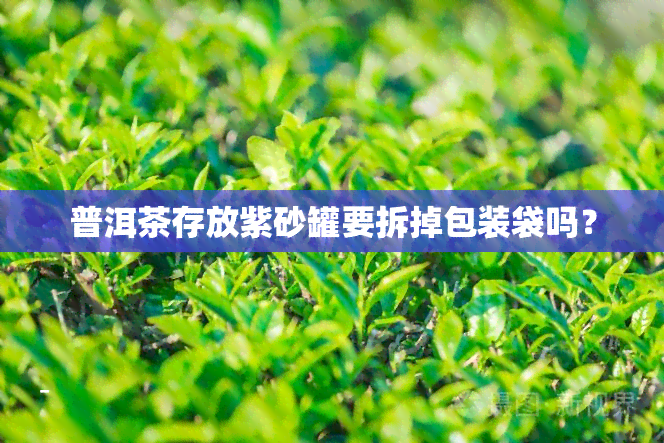 普洱茶存放紫砂罐要拆掉包装袋吗？