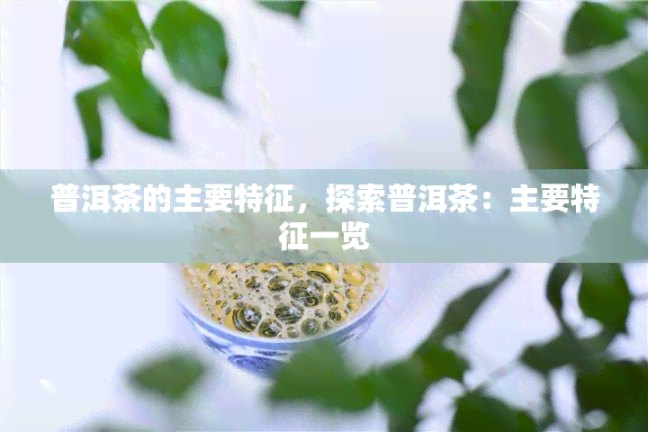 普洱茶的主要特征，探索普洱茶：主要特征一览