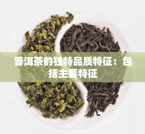 普洱茶的独特品质特征：包括主要特征