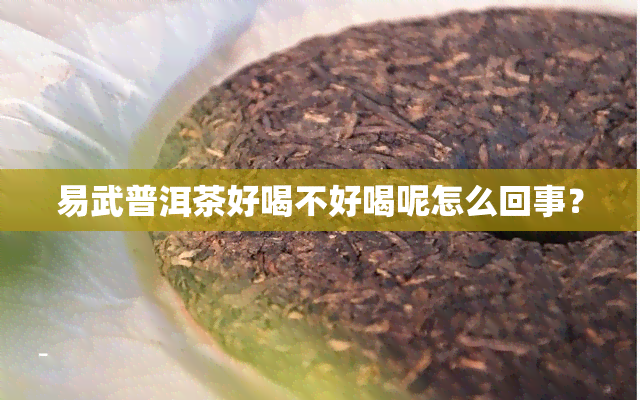 易武普洱茶好喝不好喝呢怎么回事？