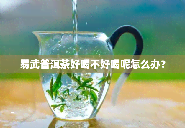 易武普洱茶好喝不好喝呢怎么办？