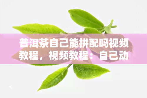 普洱茶自己能拼配吗视频教程，视频教程：自己动手拼配普洱茶，轻松掌握技巧！