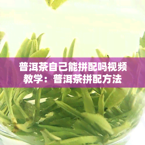 普洱茶自己能拼配吗视频教学：普洱茶拼配方法