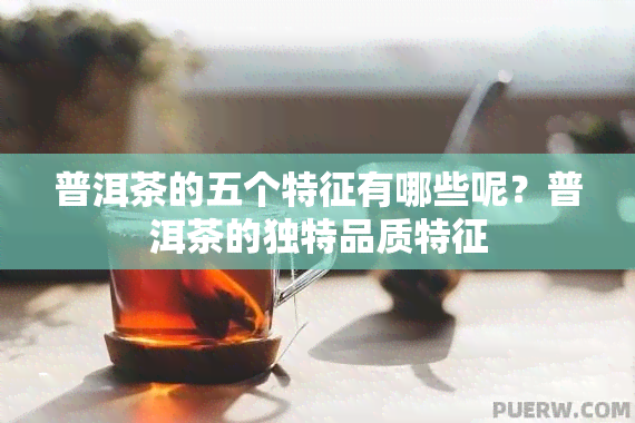 普洱茶的五个特征有哪些呢？普洱茶的独特品质特征