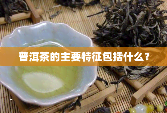 普洱茶的主要特征包括什么？