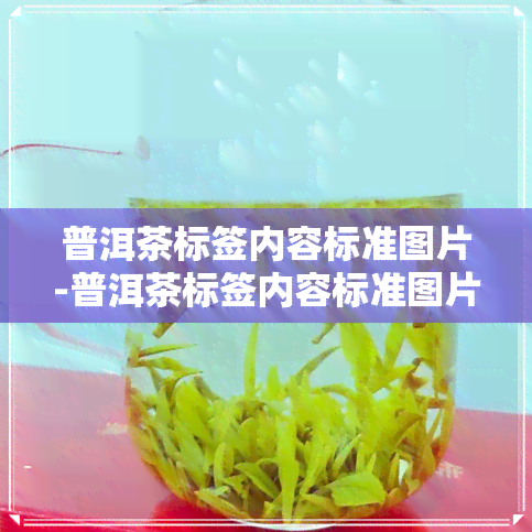 普洱茶标签内容标准图片-普洱茶标签内容标准图片大全