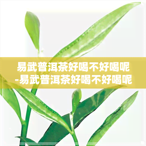 易武普洱茶好喝不好喝呢-易武普洱茶好喝不好喝呢怎么回事