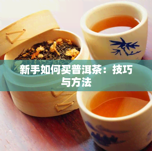 新手如何买普洱茶：技巧与方法