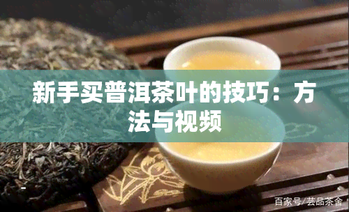 新手买普洱茶叶的技巧：方法与视频