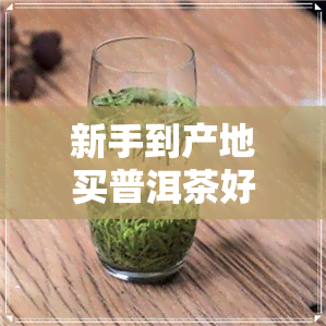 新手到产地买普洱茶好吗-新手到产地买普洱茶好吗知乎