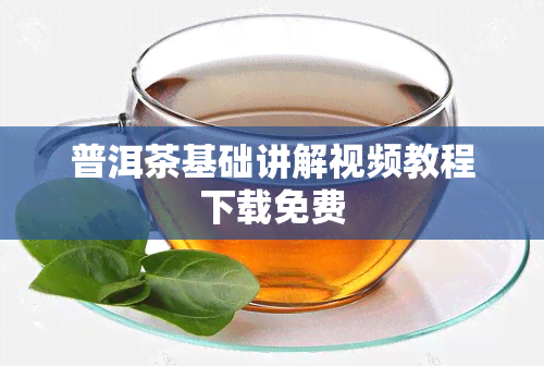 普洱茶基础讲解视频教程下载免费