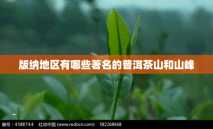 版纳地区有哪些著名的普洱茶山和山峰