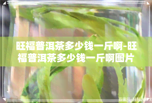 旺福普洱茶多少钱一斤啊-旺福普洱茶多少钱一斤啊图片