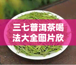 三七普洱茶喝法大全图片欣及功效禁忌