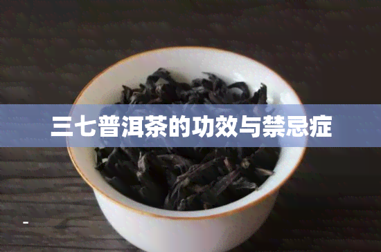 三七普洱茶的功效与禁忌症