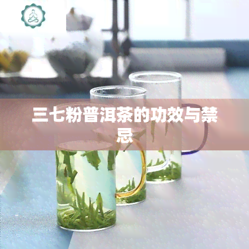 三七粉普洱茶的功效与禁忌