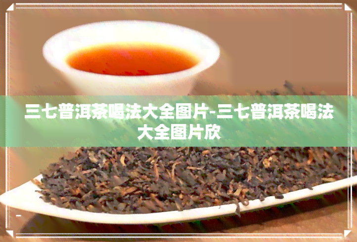 三七普洱茶喝法大全图片-三七普洱茶喝法大全图片欣