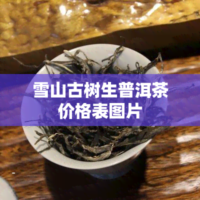 雪山古树生普洱茶价格表图片