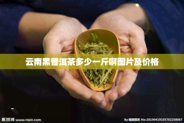 云南黑普洱茶多少一斤啊图片及价格