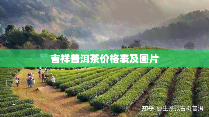 吉祥普洱茶价格表及图片