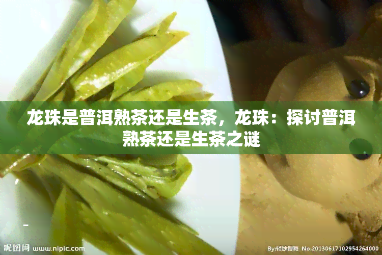 龙珠是普洱熟茶还是生茶，龙珠：探讨普洱熟茶还是生茶之谜