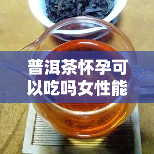 普洱茶怀孕可以吃吗女性能喝吗影响有营养吗