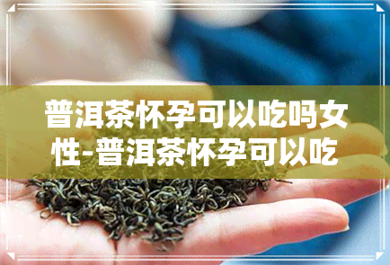 普洱茶怀孕可以吃吗女性-普洱茶怀孕可以吃吗女性可以喝吗