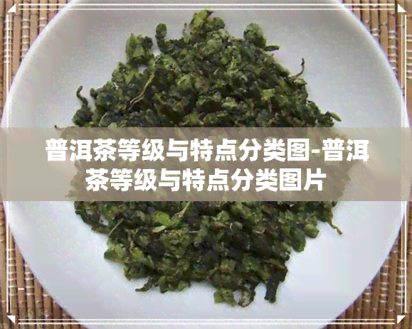 普洱茶等级与特点分类图-普洱茶等级与特点分类图片