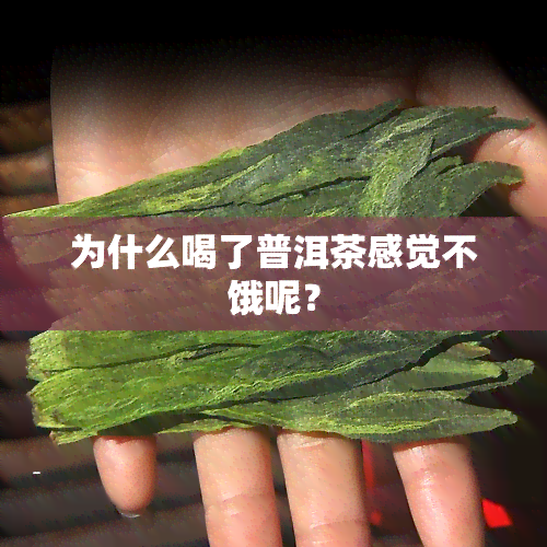 为什么喝了普洱茶感觉不饿呢？