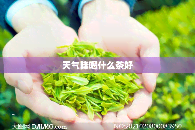 天气降喝什么茶好