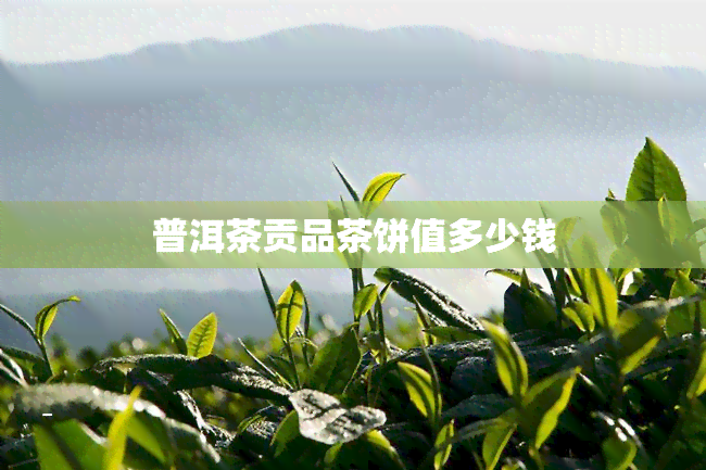 普洱茶贡品茶饼值多少钱