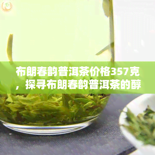 布朗春韵普洱茶价格357克，探寻布朗春韵普洱茶的醇香魅力：357克价格揭秘