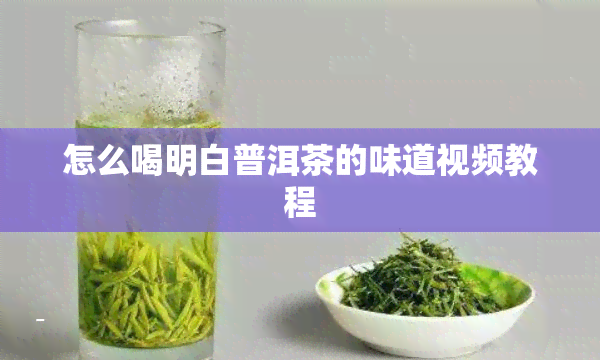 怎么喝明白普洱茶的味道视频教程