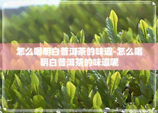 怎么喝明白普洱茶的味道-怎么喝明白普洱茶的味道呢