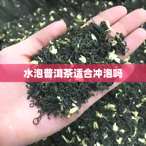 水泡普洱茶适合冲泡吗