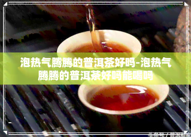 泡热气腾腾的普洱茶好吗-泡热气腾腾的普洱茶好吗能喝吗