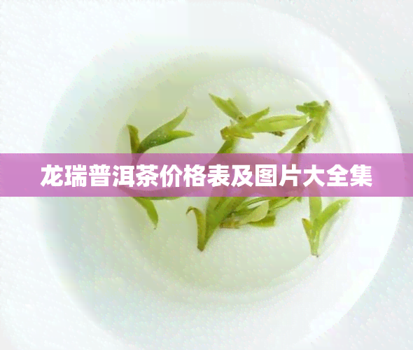 龙瑞普洱茶价格表及图片大全集