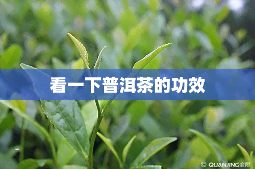 看一下普洱茶的功效