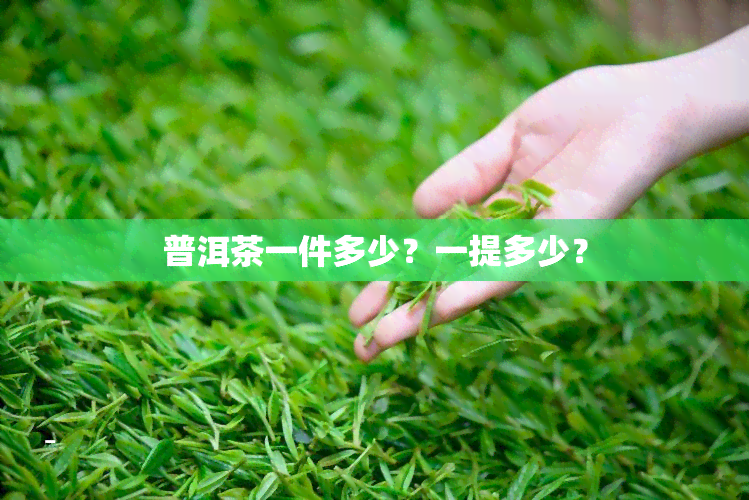 普洱茶一件多少？一提多少？