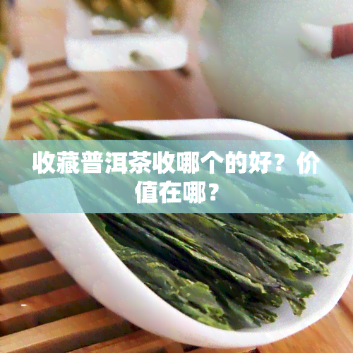 收藏普洱茶收哪个的好？价值在哪？