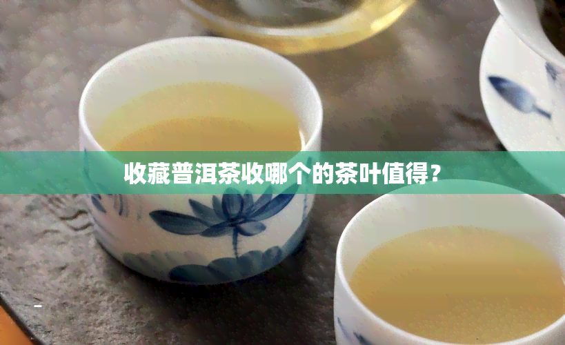 收藏普洱茶收哪个的茶叶值得？